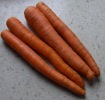 Carrots