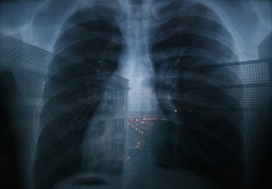 lungs